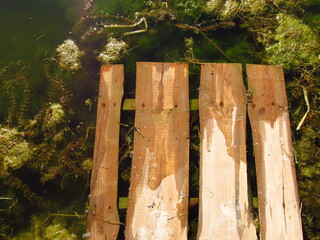 Drewniana paleta częściowo leżąca w zarośniętej wodzie nad jeziorem