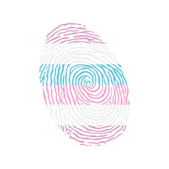 Fingerprint vector colored with the Bigender pride flag isolated on white background Vector Illustration