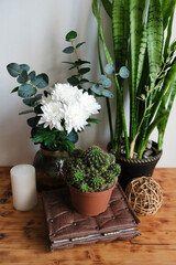 Eco friendly scandinavian interior. Wooden table with house plants, fresh flowers and home decor.