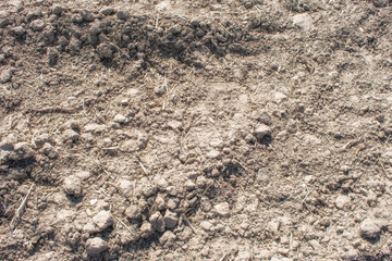 background texture earth and stones on a path in the bush