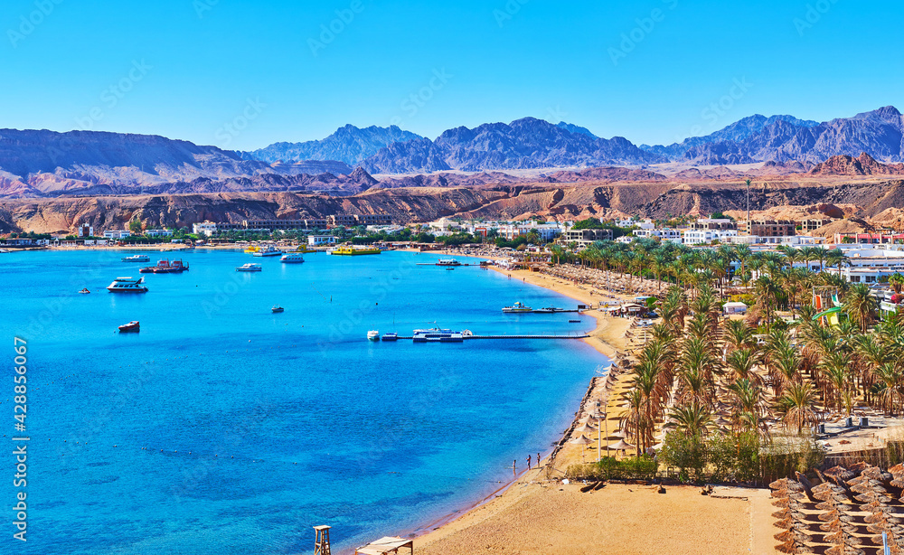 Canvas Prints The beaches of Sinai, Egypt