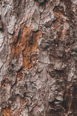 brown background, brown wall paper, brown wall