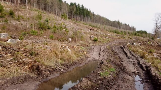 Waldweg nach Holzernte im Wirtschaftswald, Bodenverdichtung, Erosion, Abholzung, Waldumbau, Klimaver&auml;nderung, Gimbal, Schwenk