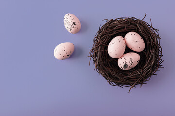 Easter nest with quail eggs on colorful background
