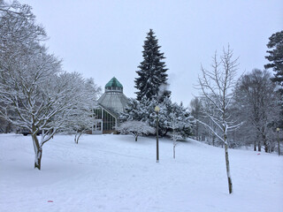 arboretum in winter