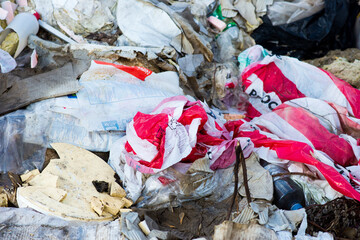 Garbage dump in the woods, forest. Ecological problems