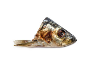 Herring fish head isolated on white background.