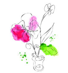 Orchids. Drawings flowers with linear art on a white background and  watercolor design elements. Vector hand illustration. One line