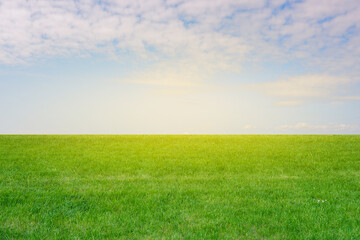 Green grass and blue sky with sunbeams. Empty field with grass in summer. Colorful green meadow. Nature background