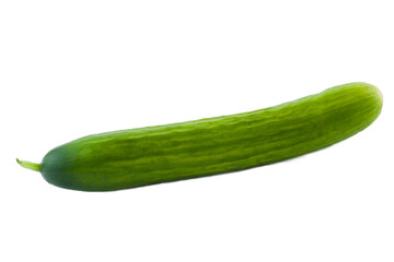 A long green cucumber on a white background. Isolate.