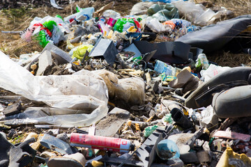 Garbage dump in the woods, forest. Ecological problems