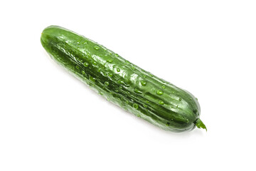 Greenhouse grown cucumber with water droplets isolated on white background.