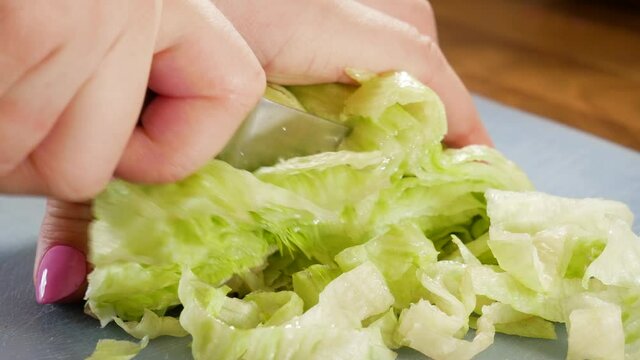 Female cutting fresh and juicy lettuce in close up static view