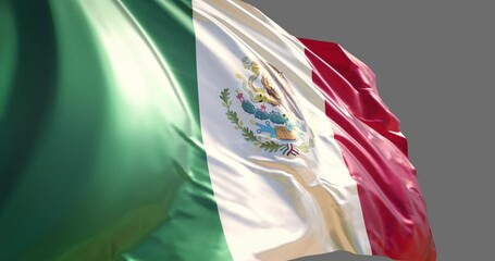 Mexican flag 20 second animation loop with alpha channel.