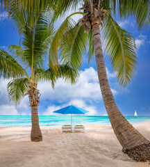Beach chairs facing ocean with palm trees