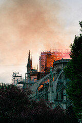 Fototapeta na wymiar Incendie de la cathédrale notre dame de Paris