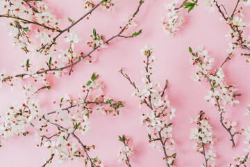 Spring pattern of branches with spring flowers on pink background. Flat lay