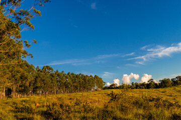 Fototapeta premium landscape in the mountains