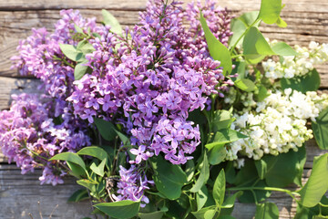 Branch of blooming lilac close up. Lilac flowers close-up, lilac color, spring and its aroma. The symbol of the awakening of nature.