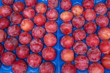 background of red ripe plums