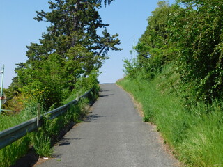 Fototapeta premium 吹田市と豊中市の境界を流れる高川の堤防に登る坂道(2021年4月撮影)