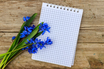 Blank notepad with blue scilla flowers on rustic wooden background