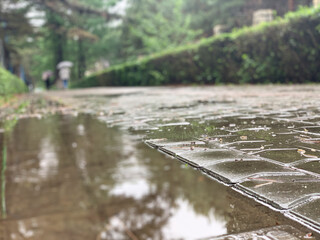 Fototapeta premium Regentag in Changchun, Nanhu dalu, Jilin China