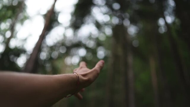 hands playing in the air in the middle of the woods of Italy.