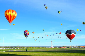 Obraz premium Hot Air Balloon Fest Albuquerque
