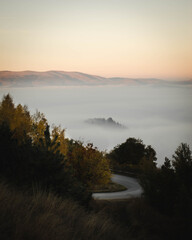 Foggy road during autumn