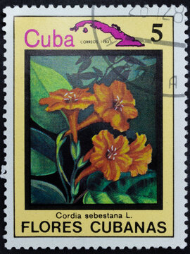 Postage stamp of 'Cordia sebestena' printed in Republic of Cuba. Series 'Flowers of Cuba - Flores Cubanas', 1983