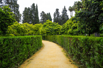 Fototapeta na wymiar View of the garden in the Alcazar palace