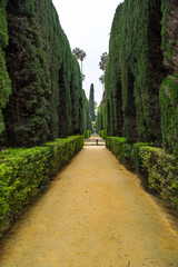 View of the garden in the Alcazar palace
