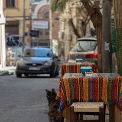 Outdoors table of an oriental-style street cafe is covered with a colorful yellow-red tablecloth. Next to the table is a low stool and a brown cat. In the background, the street of Istanbul and cars.