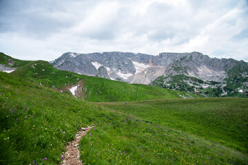 summer landscape on a cloudy day in the mountains with a trail, flowers and snow. Russia, Adygea