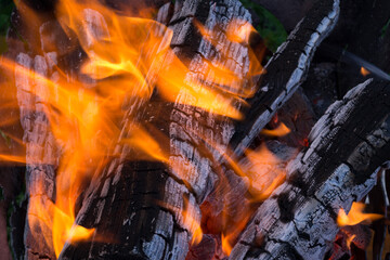 Bonfire fire. Flames from burning wood. quality photo