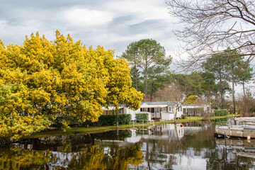 Biscarosse in the Landes, houses and pier on the river 
