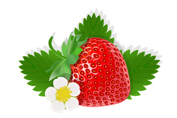 Flower of strawberry illustration for web isolated on white background