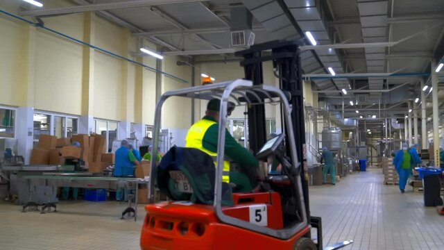 Employers of packing line, in bio resisting suits, filmed during the regular work process. View on a warehouse adapted to comply with quarantine restrictions