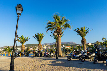 palm trees in rethymno