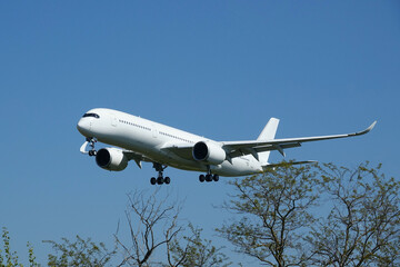 avion atterrissage au dessus des arbres