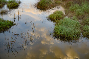 A Reflection of the Sky