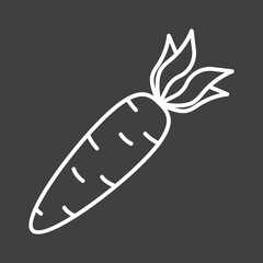 Carrot icon. A simple image of a carrot fruit in a linear style. White drawing on a black background. Isolated vector on clean surface.