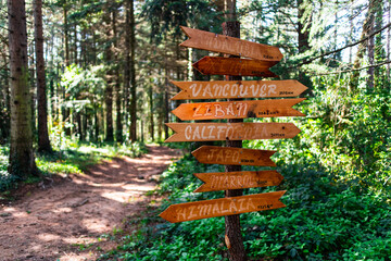 Señales indicativas de direccion de ciudades internacionales en bosque. Cataluña