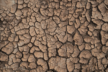 Dry Cracked Soil