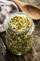 Sprouted green mung beans. Mung sprouts in jar.