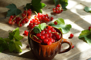 The mug is filled with red currant berries