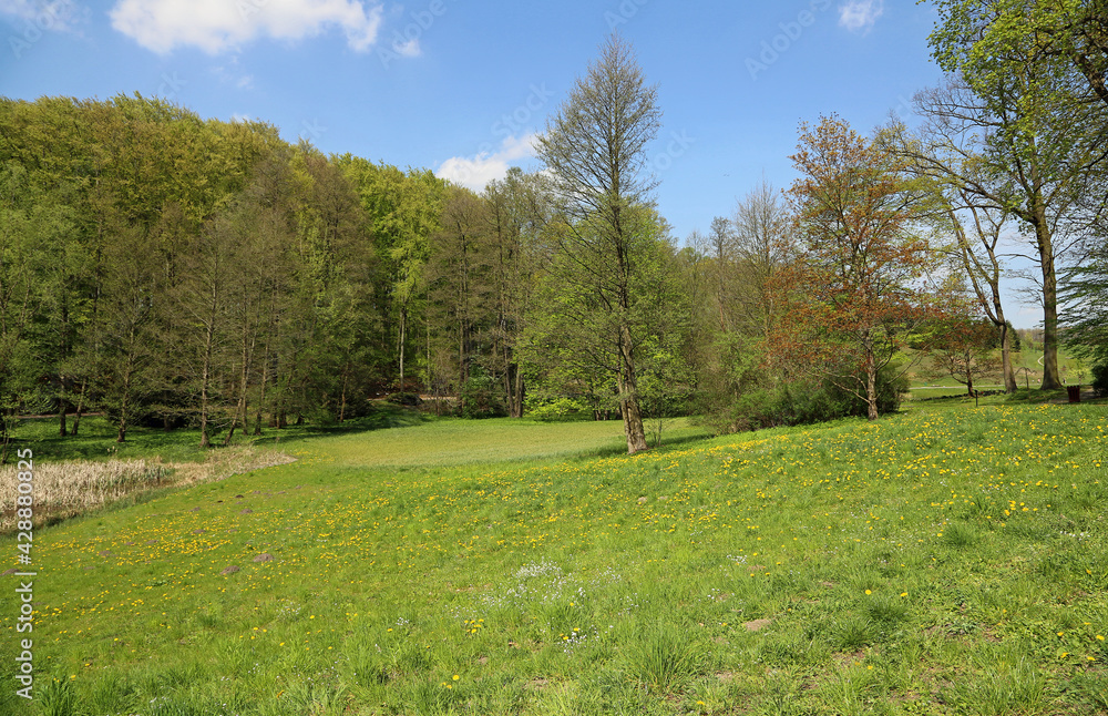 Wall mural Spring landscape - Myslecinek near Bydgoszcz, Poland