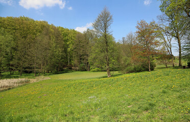 Fototapeta na wymiar Spring landscape - Myslecinek near Bydgoszcz, Poland