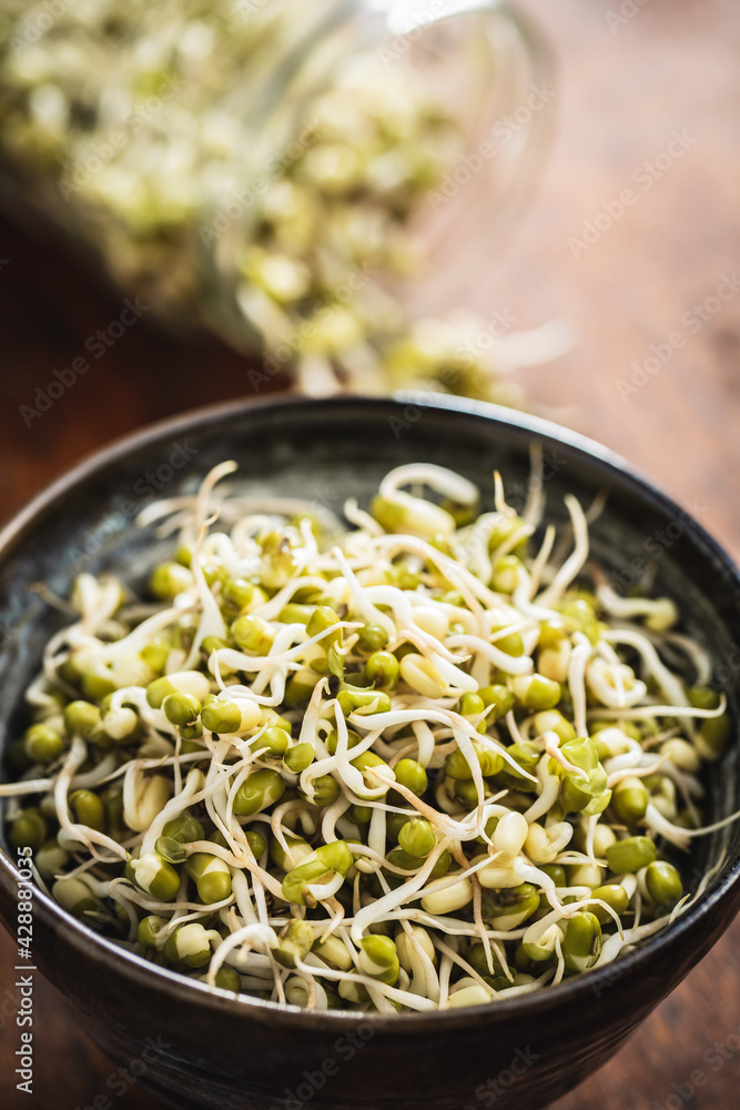 Wall mural sprouted green mung beans. mung sprouts in bowl.